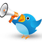 Twitter Advertising Services